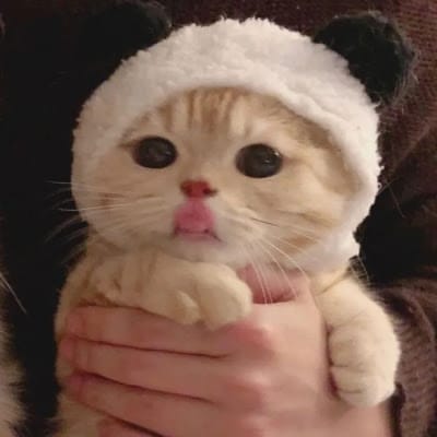 Phạm Ngọc Huy avatar